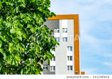 A Vibrant Contrast of Green Leaves Against a Modern Urban Building Under a Bright Blue Sky A Vibrant Contrast of Green Leaves Against a Modern Urban Building Under a Bright Blue Sky 141246928