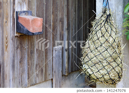 salt lick and fodder net for horses 141247076