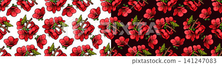 Botanical line art pattern the intricate beauty of a chaenomeles japonica branch Botanical line art pattern the intricate beauty of a chaenomeles japonica branch 141247083
