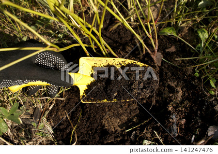 Garden seed green manure fertilizer manures compost. Hand with a shovel Garden seed green manure fertilizer manures compost. Hand with a shovel 141247476