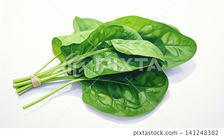Fresh bunch of spinach leaves on white background Fresh bunch of spinach leaves on white background 141248382