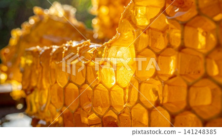 Close-up of translucent honeycomb filled with golden honey in su Close-up of translucent honeycomb filled with golden honey in su 141248385