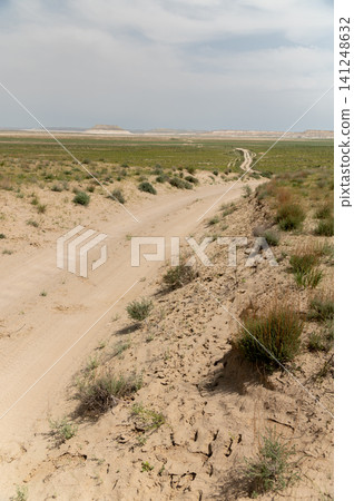 Dirt road winding through grassy landscape under cloudy sky Dirt road winding through grassy landscape under cloudy sky 141248632