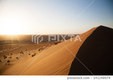 Wahiba Sands desert landscape, Oman Wahiba Sands desert landscape, Oman 141248974