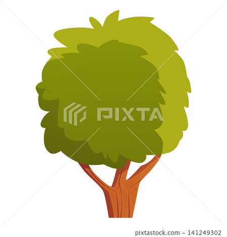 Tea tree plant, green leaves bush, natural essential herb foliage, vector flat aroma plant, organic ingredient Tea tree plant, green leaves bush, natural essential herb foliage, vector flat aroma plant, organic ingredient 141249302