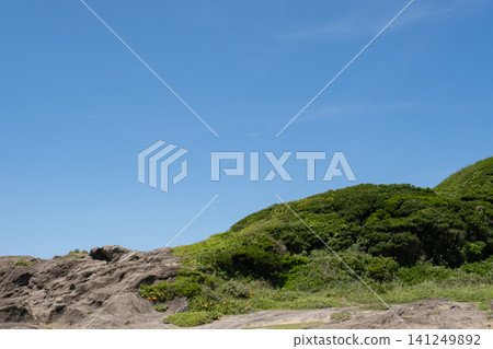 Scenery of Jogashima Coast in Miura City, Kanagawa Prefecture Scenery of Jogashima Coast in Miura City, Kanagawa Prefecture 141249892