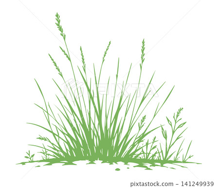 Grass green silhouette vector isolated on white background nature design illustration of grass plant pattern greenery artwork Hand drawn. Not AI, vector illustration. Grass green silhouette vector isolated on white background nature design illustration of grass plant pattern greenery artwork Hand drawn. Not AI, vector illustration. 141249939