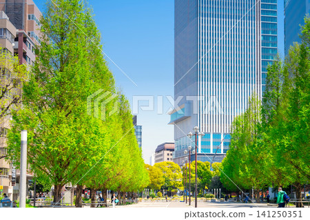 Yokohama Odori Park under a blue sky and surrounded by greenery Yokohama Odori Park under a blue sky and surrounded by greenery 141250351