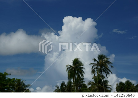 Landscape of Guam Landscape of Guam 141250646