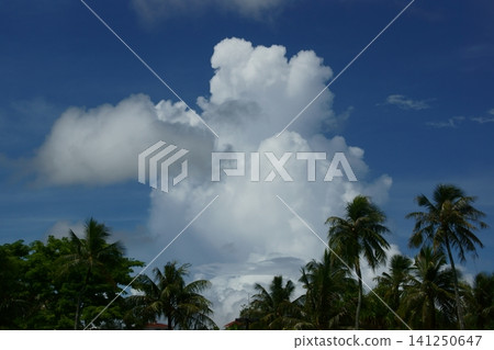 Landscape of Guam Landscape of Guam 141250647