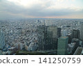 From the Tokyo Metropolitan Government Building observation deck 141250759