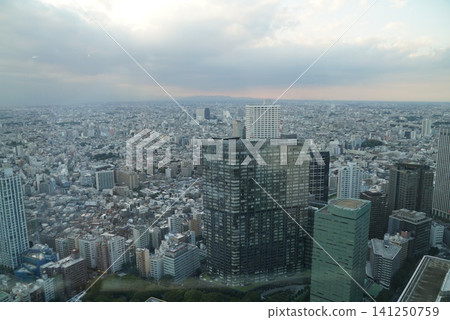 From the Tokyo Metropolitan Government Building observation deck From the Tokyo Metropolitan Government Building observation deck 141250759