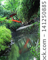 [Tokyo] The scenery of Todoroki Valley and Golf Bridge, quietly remaining in the heart of the city. 141250885