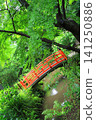 [Tokyo] Beautiful scenery of Todoroki Valley Park in early summer with fresh greenery. 141250886
