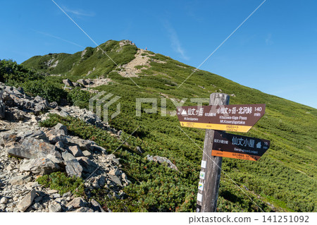 南阿爾卑斯山,千丈岳,步道交會處 南阿爾卑斯山,千丈岳,步道交會處 141251092