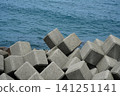 Landscape with tetrapod 141251141