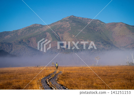 Hikers walking along the boardwalk in Oze Marsh (Autumn, morning mist) Hikers walking along the boardwalk in Oze Marsh (Autumn, morning mist) 141251153
