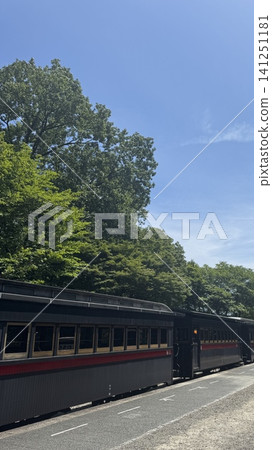 復古的旅遊列車和車站景色,以翠綠的植物和蔚藍的天空為背景。 復古的旅遊列車和車站景色,以翠綠的植物和蔚藍的天空為背景。 141251181