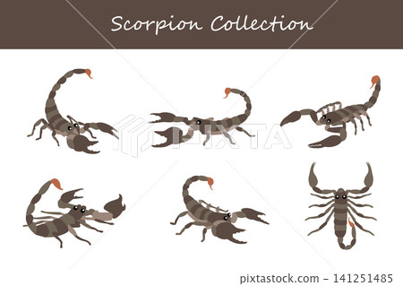 scorpion collection. scorpion in different poses scorpion collection. scorpion in different poses 141251485