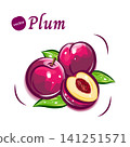 Pop and cute illustration of a plum | Fresh fruit vector material 141251571