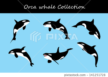 orca collection. orca in different poses orca collection. orca in different poses 141251728