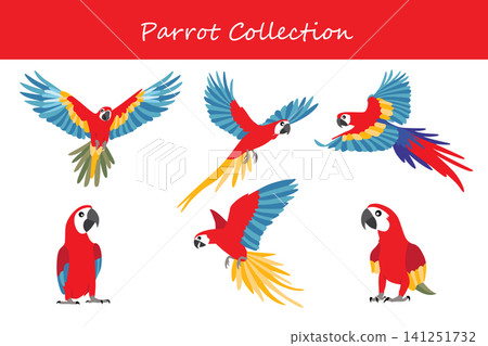parrot collection. parrot in different poses 141251732