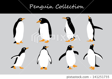 penguin collection. penguin in different poses penguin collection. penguin in different poses 141251735