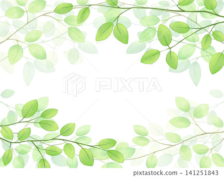 Leaf Background Leaf Background 141251843