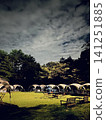 The glamping site at night, illuminated by moonlight and artificial lights. 141251885