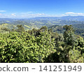 The lush green mountain ranges of Brazil stretch out under a blue sky. 141251949