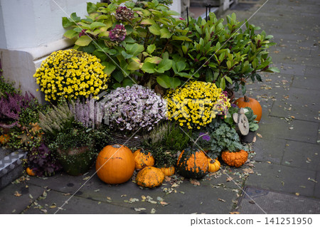 Halloween pumpkin Halloween pumpkin 141251950