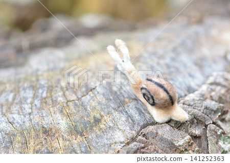 Snail felt doll 141252363