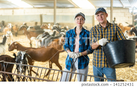 Couple of livestock farm workers posing in goat shelter, holding pail Couple of livestock farm workers posing in goat shelter, holding pail 141252431