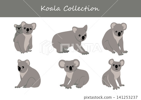 koala collection. koala in different poses koala collection. koala in different poses 141253237