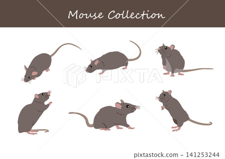 mouse collection. mouse in different poses mouse collection. mouse in different poses 141253244