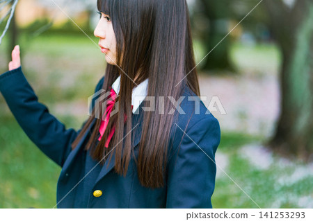 high school girl, cherry blossom, high school student 141253293