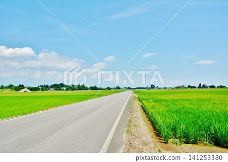Summer blue sky and country scenery 141253380