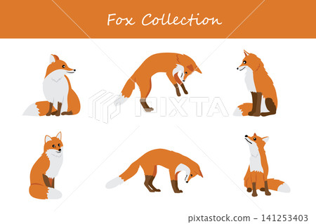 fox collection. fox in different poses fox collection. fox in different poses 141253403