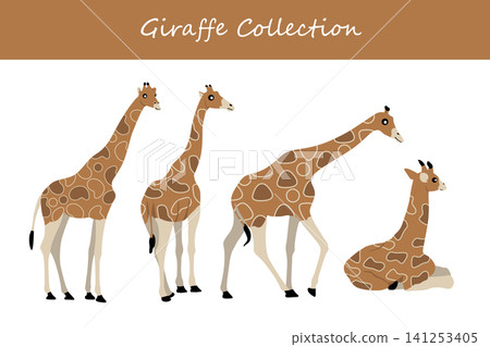 giraffe collection. giraffe in different poses giraffe collection. giraffe in different poses 141253405