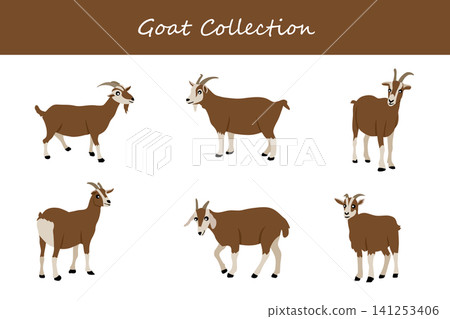 goat collection. goat in different poses goat collection. goat in different poses 141253406