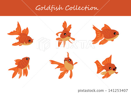 goldfish collection. goldfish in different poses goldfish collection. goldfish in different poses 141253407