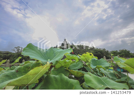 Hong Kong June 27 2026 Ngong Ping Buddha behind lotus leaves Hong Kong June 27 2026 Ngong Ping Buddha behind lotus leaves 141253479