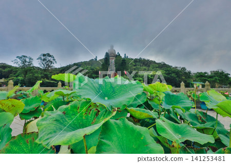 Hong Kong June 27 2026 Ngong Ping Buddha behind lotus leaves Hong Kong June 27 2026 Ngong Ping Buddha behind lotus leaves 141253481
