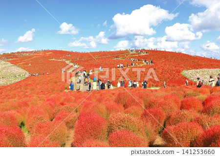 Kokia 秋葉,山上有風景 Kokia 秋葉,山上有風景 141253660
