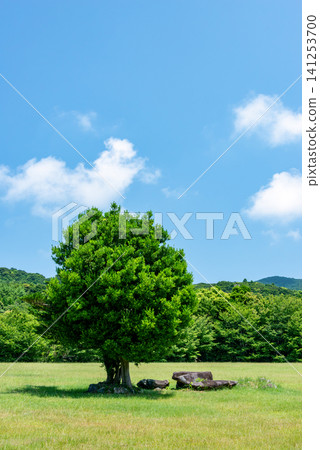 A nature park with a mysterious giant rock (Kochi Prefecture, Shikoku) A nature park with a mysterious giant rock (Kochi Prefecture, Shikoku) 141253700