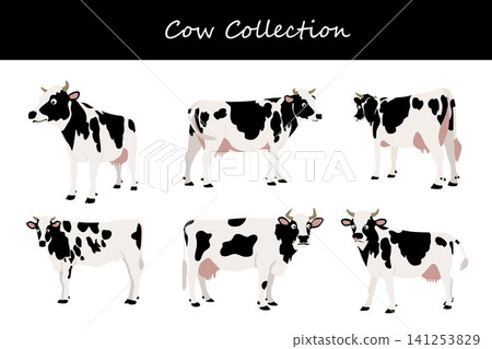 cow collection. cow in different poses cow collection. cow in different poses 141253829