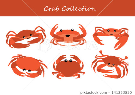 crab collection. crab in different poses crab collection. crab in different poses 141253830