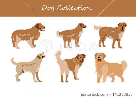 dog collection. dog in different poses dog collection. dog in different poses 141253833