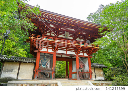 Niomon Gate at the entrance of Murō-ji Temple in Uda City, Nara Prefecture, where the fresh greenery is beautiful. Niomon Gate at the entrance of Murō-ji Temple in Uda City, Nara Prefecture, where the fresh greenery is beautiful. 141253899