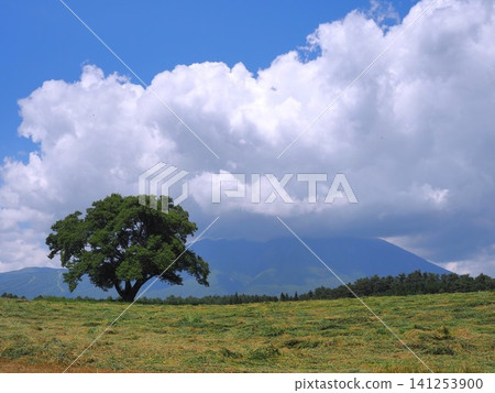 夏日風景,岩手山和一棵櫻花樹盡收眼底。 夏日風景,岩手山和一棵櫻花樹盡收眼底。 141253900